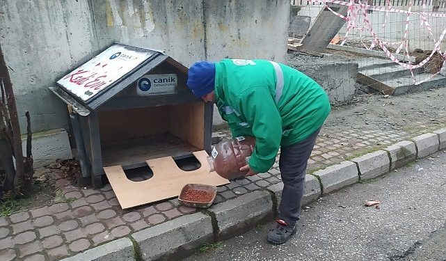 Canik Belediyesi Can Dostları Yalnız Bırakmıyor